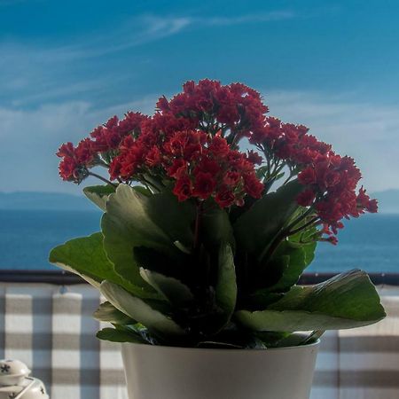 Apartment Paradise View Rijeka Eksteriør bilde