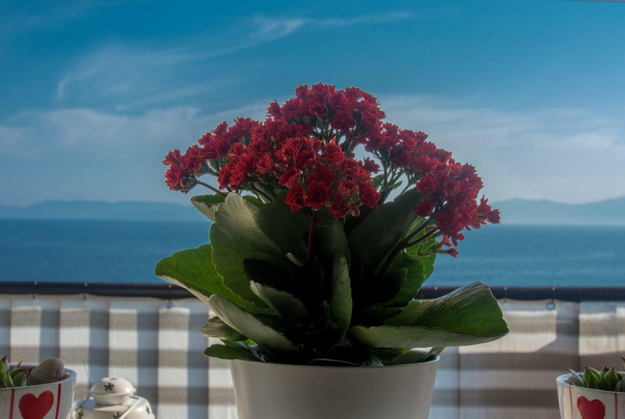 Apartment Paradise View Rijeka Eksteriør bilde